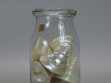 a glass jar with shells inside of it on a table