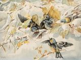 painting of a group of birds sitting on a branch in the snow