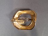 a gold belt buckle with a gold buckle on it