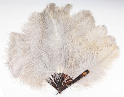 a white ostrich fan with a wooden handle on a white surface