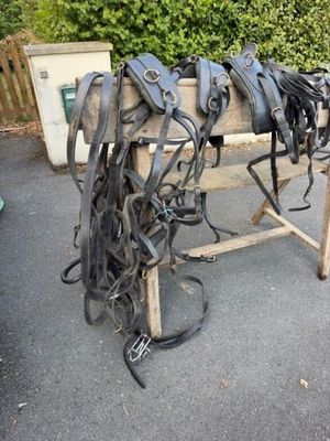 un banc en bois sur lequel sont posées plusieurs selles