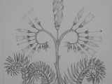 dessin au crayon représentant une plante avec des feuilles et des fleurs sur une feuille de papier blanc