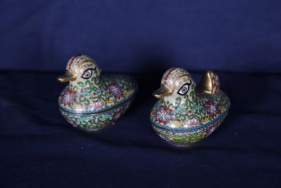 deux oiseaux assis l'un sur l'autre