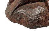 a close up of a piece of chocolate cake on a white surface