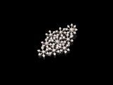 une image représentant une photo en noir et blanc d'un bouquet de minuscules fleurs blanches