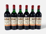six bouteilles de vin sont alignées sur une surface blanche