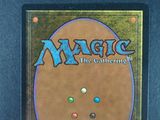 a close up of a box of magic the gathering cards