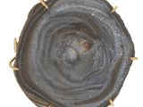 une photo d'un morceau d'agate avec une bague en or