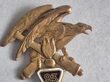 une image représentant un aigle doré portant un bouclier sur le dos