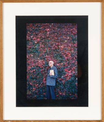 framed photograph of a man standing in front of a wall of flowers