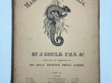 an old book with a drawing of a mouse on it