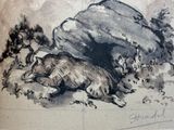 a drawing of a bear laying down in the grass