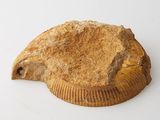 a piece of bread that is sitting on a table