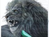 affiche représentant un lion portant une chaussure verte et un talon haut vert
