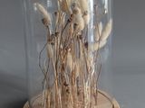 a glass clochet with dried plants inside of it