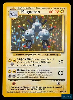 une photo d'une carte Pokémon sur laquelle figure l'image d'un chat