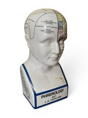 une image représentant une tête en porcelaine sur laquelle figure une étiquette de phrénologie
