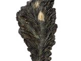 une image représentant une sculpture en forme de feuille sur fond blanc