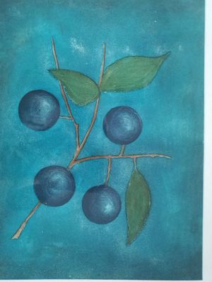 peinture représentant des myrtilles sur une branche avec des feuilles vertes, sur fond bleu