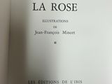 an open book with a picture of a rose on it