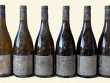 six bouteilles de vin sont alignées sur une surface blanche