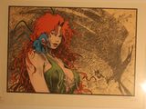 a picture of a woman with red hair and a bird on her shoulder