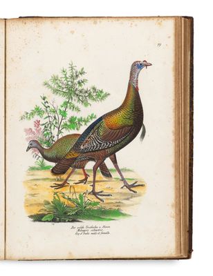 un vieux livre avec l'image d'un oiseau sur la couverture