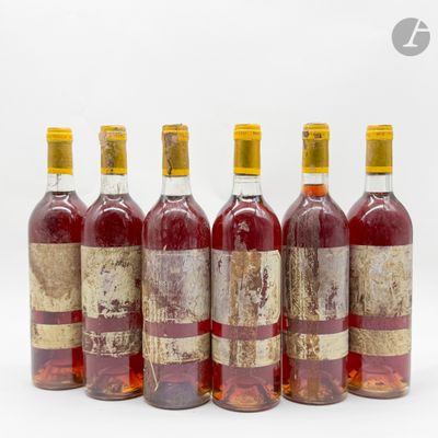 six bouteilles de vin sont alignées sur une surface blanche