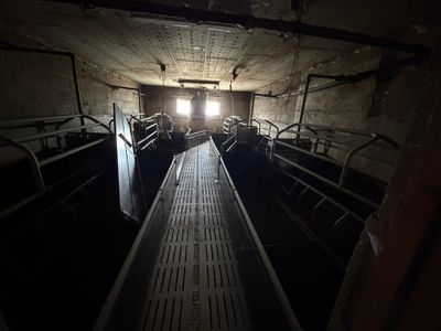 an image of a dark room with a bunch of beds in it