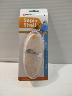 un petit oiseau qui se trouve à l'intérieur d'une boîte en plastique