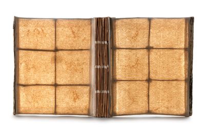 un gros plan sur un livre contenant tout un tas de biscuits