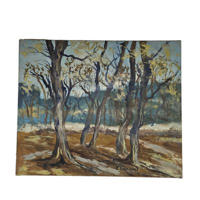 an oil painting of trees in a wooded area with a river in the background
