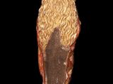 an image of a statue of a man with long hair and a beard