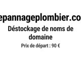 Photo 1/1 du lot