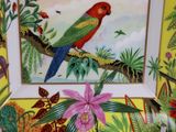 a picture of a parrot sitting on a branch of a tree