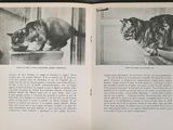an open book with a picture of a cat eating out of a bowl