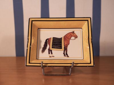 une photo d'une photo représentant un cheval recouvert d'une couverture