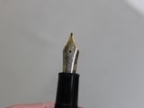 a person holding a fountain pen in their hand