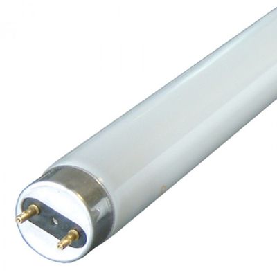 le tube fluorescent est blanc et possède un culot de couleur dorée