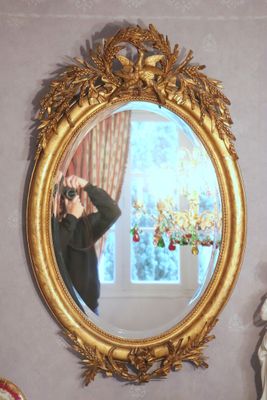a man taking a picture of himself in a mirror