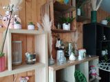 a shelf with many different types of plants on it