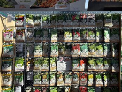 many bags of vegetables on display in a grocery store