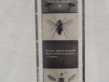 a picture of a box of fly - tox fly - tox fly - tox fly - tox fly - tox fly - tox