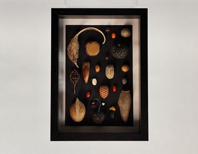une photo d'un cadre-vitrine contenant divers objets