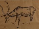 a drawing of a deer eating grass on a piece of paper