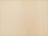 an old paper sheet with a blank space for text or image