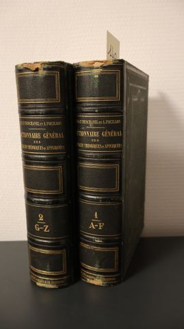PRIVAT-DESCHANEL, FOCILLON Ad., Dictionnaire général des sciences...