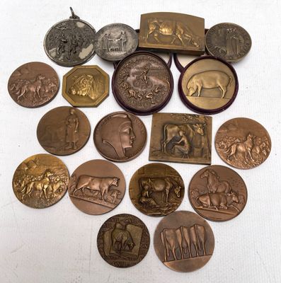 un lot de pièces de monnaie posées sur une table