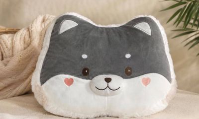 a pillow with a cat face on it sitting on a couch