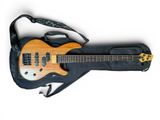 an electric guitar with a case on a white background
